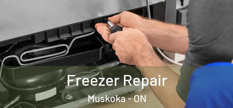 Freezer Repair Muskoka - ON