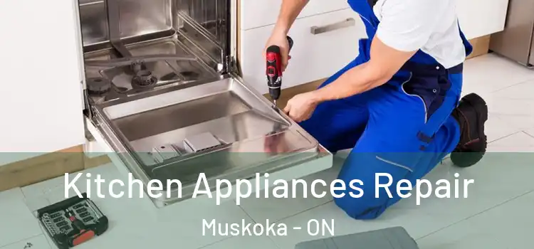 Kitchen Appliances Repair Muskoka - ON