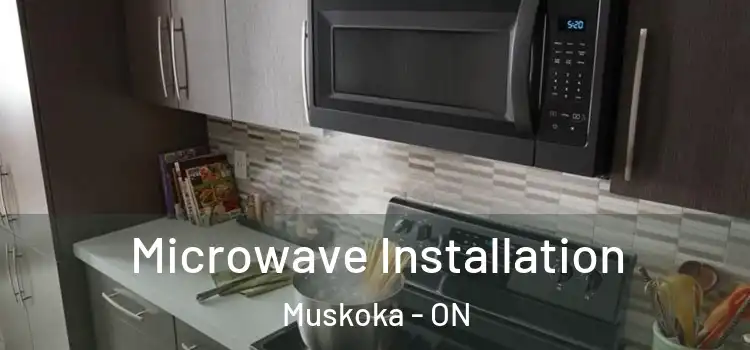 Microwave Installation Muskoka - ON