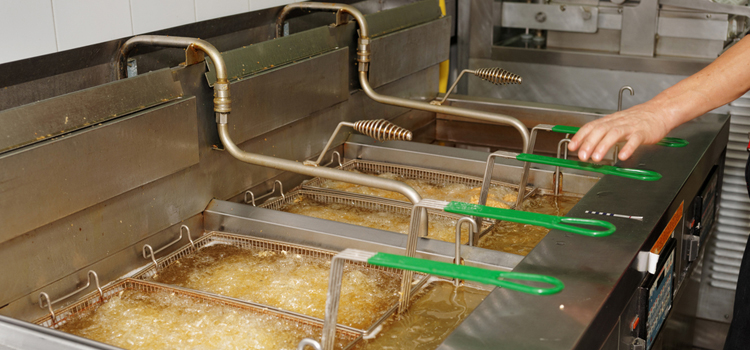 Gaggenau Commercial Fryer Repair in Muskoka