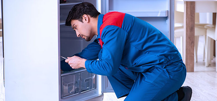 Gaggenau Freezer Repair Services in Muskoka